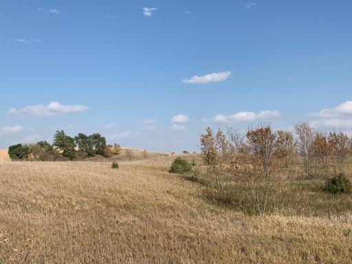 xxx 34th Avenue SE, Blooming Prairie, MN 55917