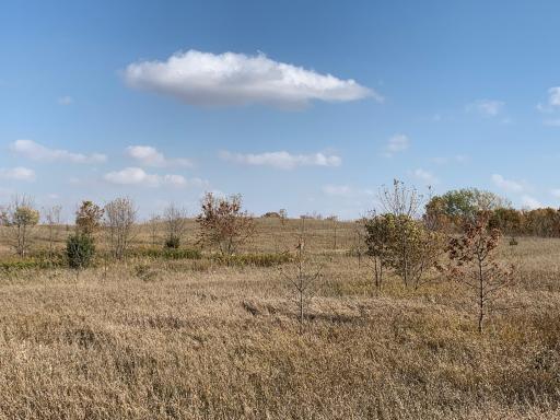 xxx 34th Avenue SE, Blooming Prairie, MN 55917