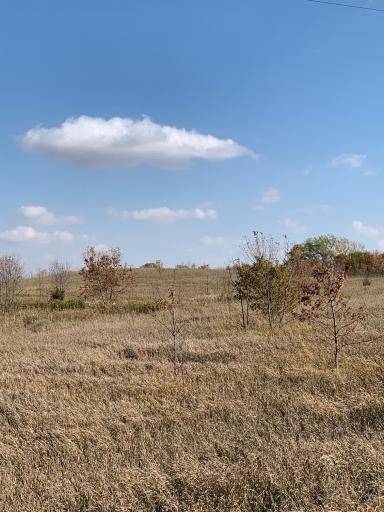 xxx 34th Avenue SE, Blooming Prairie, MN 55917