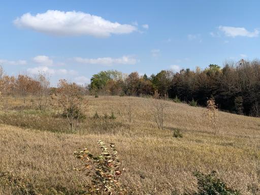 xxx 34th Avenue SE, Blooming Prairie, MN 55917