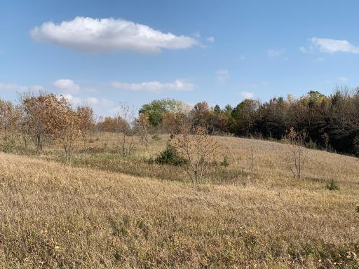 xxx 34th Avenue SE, Blooming Prairie, MN 55917