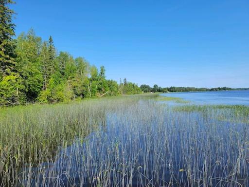 Lot 5 - TB Driftwood Lane NW, Baudette, MN 56623