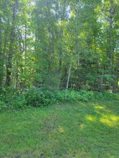 Lot 5 - TB Driftwood Lane NW, Baudette, MN 56623