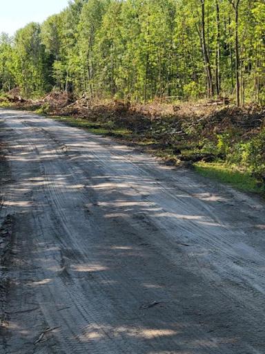 Photo for Lot 5 - TB Driftwood Lane NW, Baudette, MN 56623 - Listing #6376720 Lot 5 - TB Driftwood Lane NW, Baudette, MN 56623