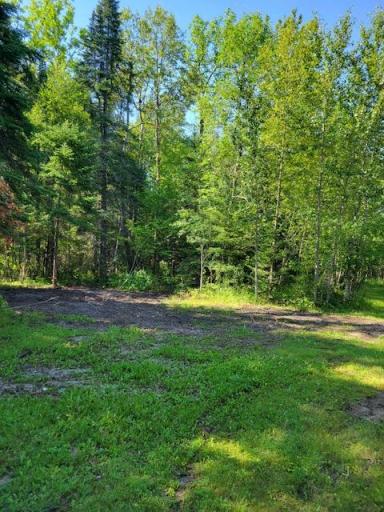 Lot 5 - TB Driftwood Lane NW, Baudette, MN 56623