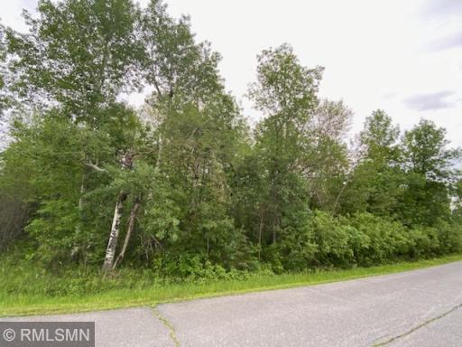 TBD Hwy 11 E, International Falls, MN 56649