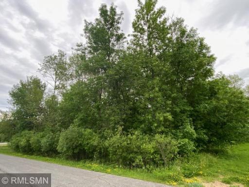 TBD Hwy 11 E, International Falls, MN 56649