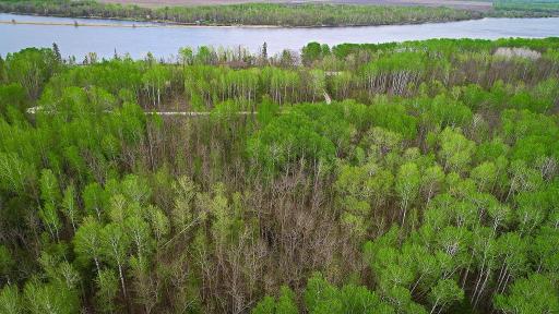 Lot 6 - TB Driftwood Lane NW, Baudette, MN 56623