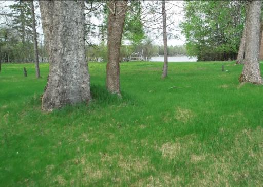 Lot 6 - TB Driftwood Lane NW, Baudette, MN 56623