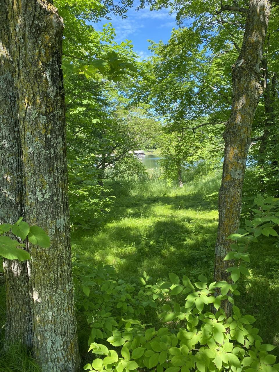Lot near lakefront