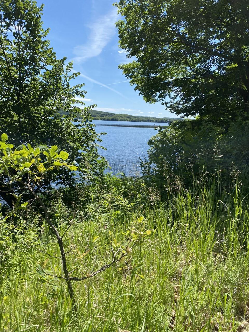 Lot viewing South Lida Lake to the East