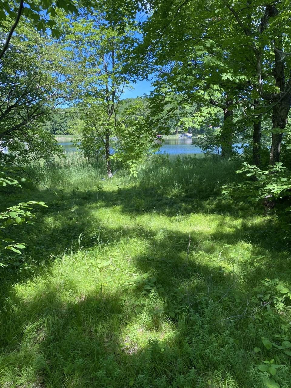 Picnic area near lakefront