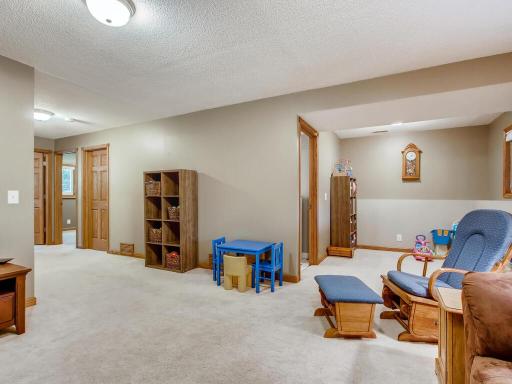 Lower Level Family Room - Also has bedroom and Office on lower level