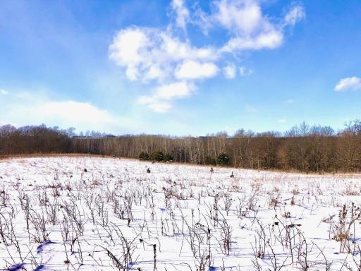 XX268 Airport Road, Peterson, MN 55962