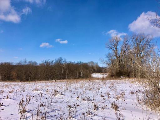 XX268 Airport Road, Peterson, MN 55962