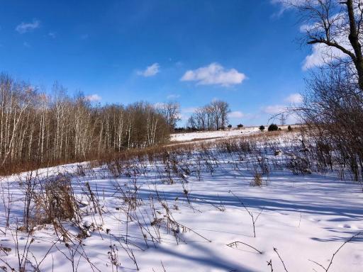 XX268 Airport Road, Peterson, MN 55962
