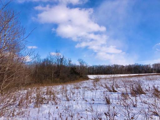 XX268 Airport Road, Peterson, MN 55962