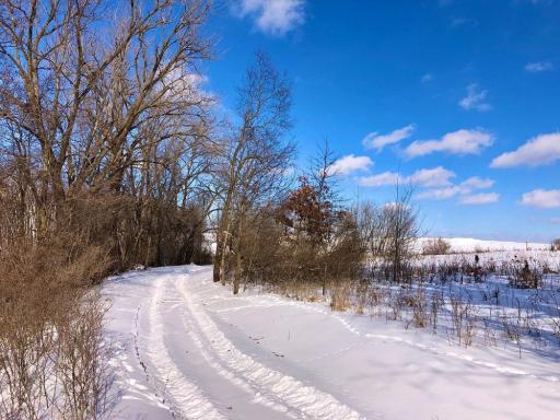 XX268 Airport Road, Peterson, MN 55962