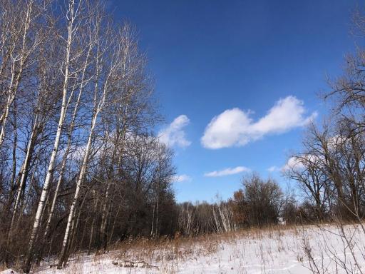 XX268 Airport Road, Peterson, MN 55962