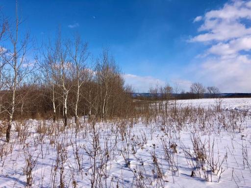 XX268 Airport Road, Peterson, MN 55962