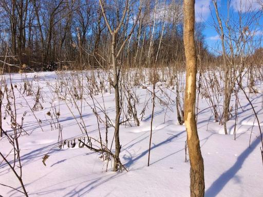 XX268 Airport Road, Peterson, MN 55962