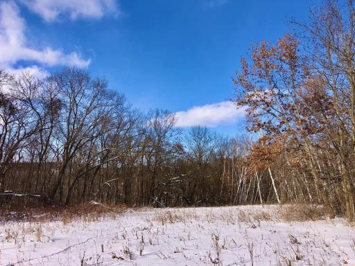 XX268 Airport Road, Peterson, MN 55962