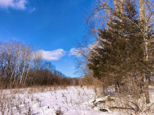 XX268 Airport Road, Peterson, MN 55962