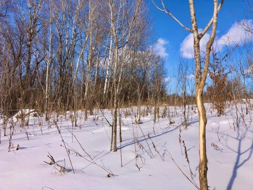 XX268 Airport Road, Peterson, MN 55962