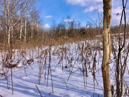 XX268 Airport Road, Peterson, MN 55962