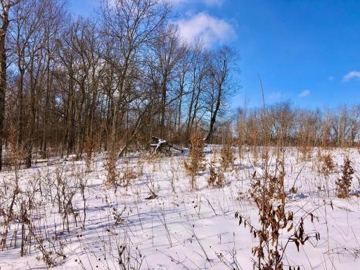 XX268 Airport Road, Peterson, MN 55962