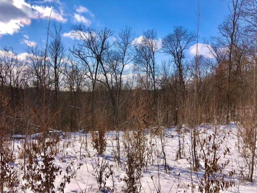 XX268 Airport Road, Peterson, MN 55962