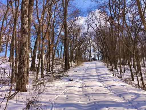XX268 Airport Road, Peterson, MN 55962