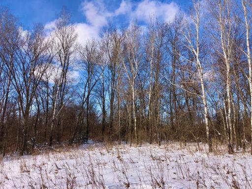 XX268 Airport Road, Peterson, MN 55962