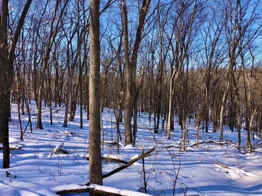 XX268 Airport Road, Peterson, MN 55962