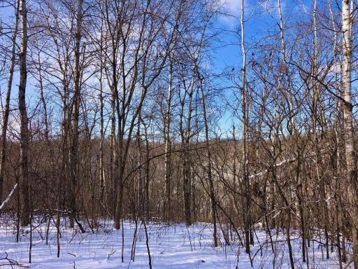 XX268 Airport Road, Peterson, MN 55962