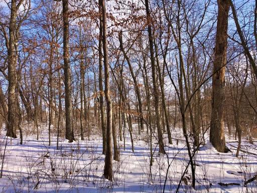 XX268 Airport Road, Peterson, MN 55962