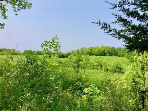 XX268 Airport Road, Peterson, MN 55962