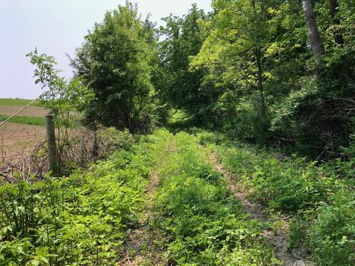 XX268 Airport Road, Peterson, MN 55962