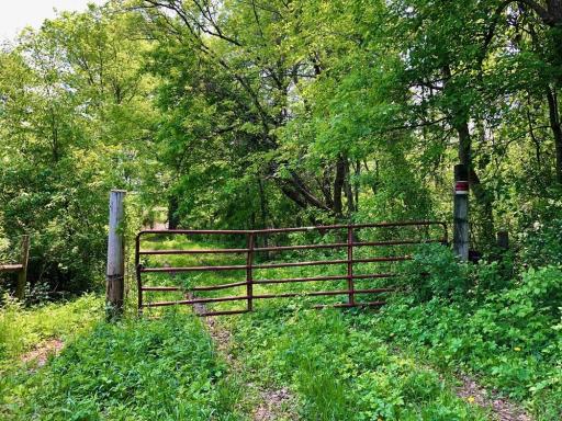 XX268 Airport Road, Peterson, MN 55962