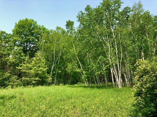 XX268 Airport Road, Peterson, MN 55962