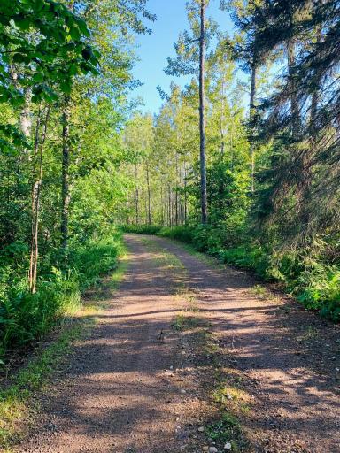 6006 Rollins Creek Road, Lutsen, MN 55612