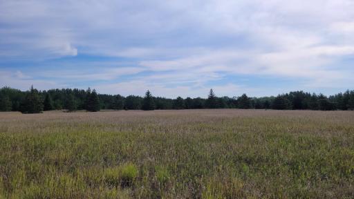 Photo for tbd Happy Go Lucky, Pillager, MN 56473 - Listing #6251764 tbd Happy Go Lucky, Pillager, MN 56473
