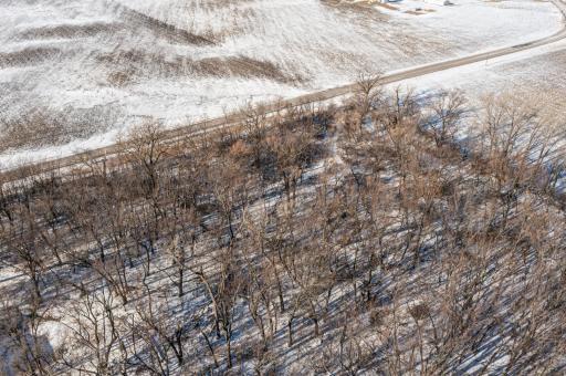 Photo for XXXX Tagus Avenue, Hutchinson, MN 55350 - Listing #6313768 3.21 acre, buildable wooded lot w/mature trees, wildlife, and seclusion. Lot is located off a tar road 6.5 miles south of Hutchinson. Open to all builders.