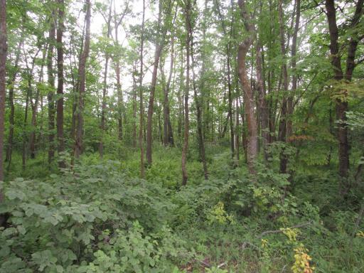 1484 Pine Mountain Lake Road NW, Backus, MN 56435