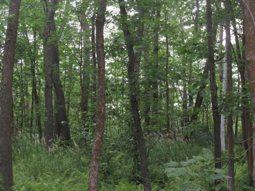 1484 Pine Mountain Lake Road NW, Backus, MN 56435