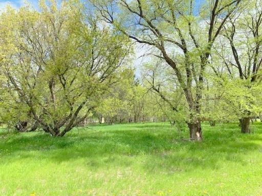 XXX Cherokee, Wadena, MN 56482