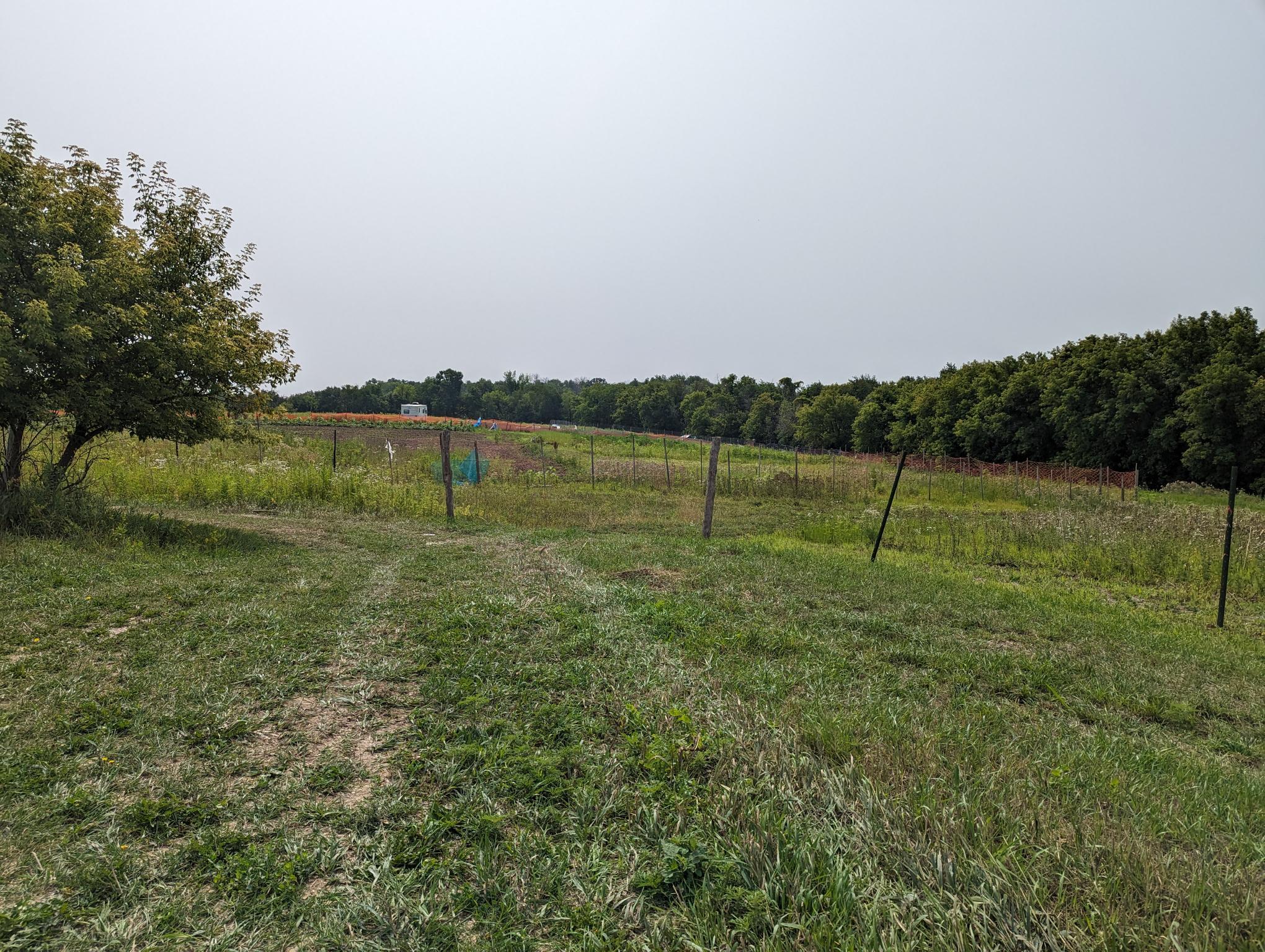 Photo for XXXX 264TH AVE, Lake City, MN 55041 - Listing #6414776 XXXX 264TH AVE, Lake City, MN 55041