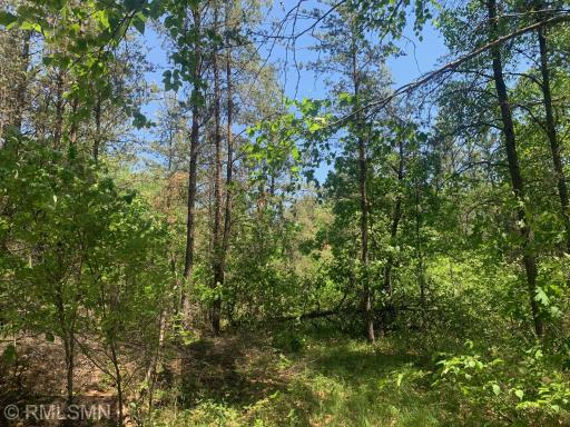 Lot 3 42nd Avenue, Pillager, MN 56473