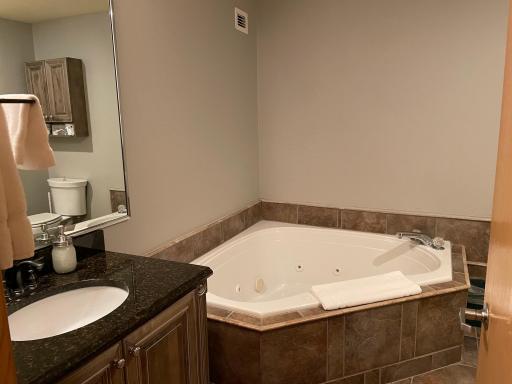 Main bath with granite countertops, ceramic tile floors, whirlpool tub and separate shower.