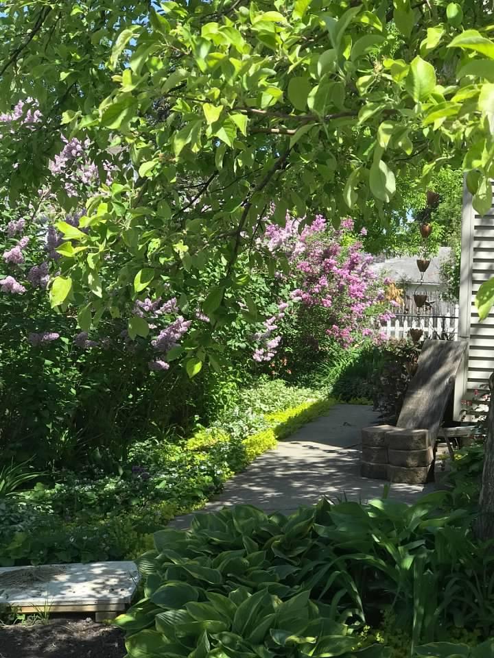 garden5.jpg